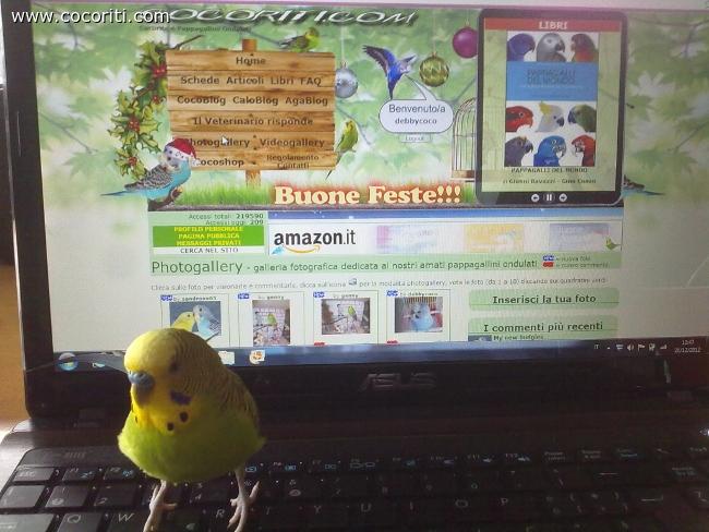 per voi